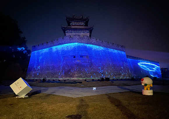 ��ꖿ����w